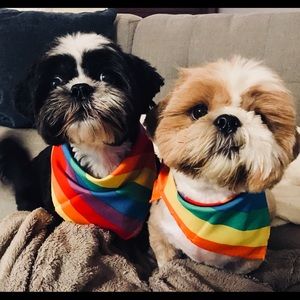 Meet your Posher, Kristina